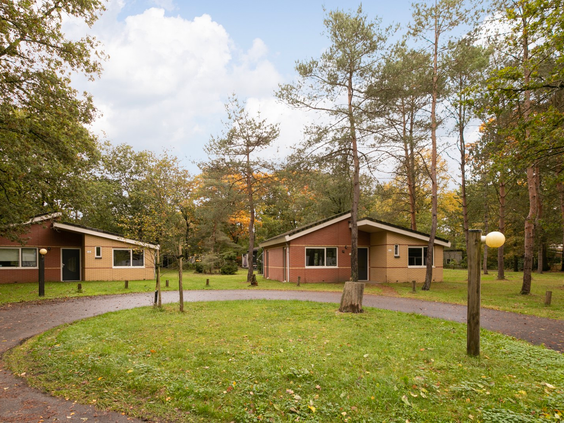Vrijstaande bungalows van Parc de Berkenhorst, gelegen in het bos op de Veluwe.