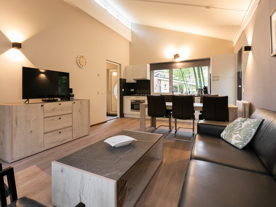 Overzicht van de moderne woonkamer met open keuken in een vakantiehuisje op Parc de Berkenhorst.
