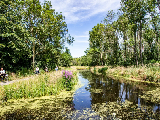 Een sloot omringd door bomen en bloemen in de groene en waterrijke omgeving van Parc de IJsselhoeve.