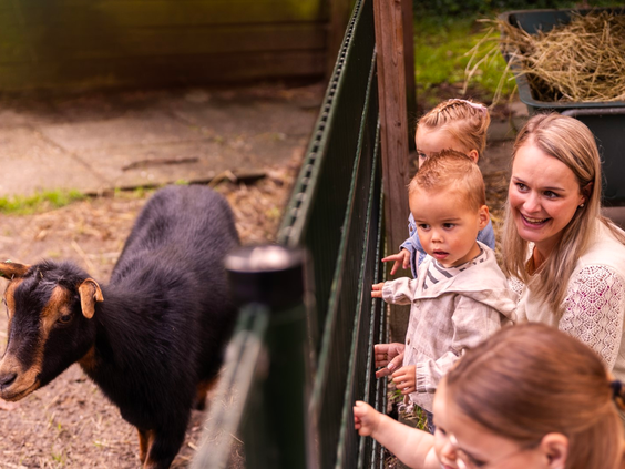 Kinderen kijken naar een nieuwsgierige geit bij het hek van de kinderboerderij op Parc Heihaas.