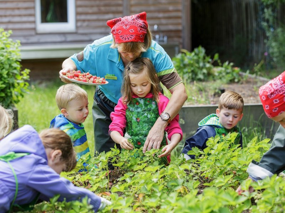 Een groep jonge kinderen krijgt uitleg over planten en plukt aardbeien in de educatieve moestuin van Center Parcs Park Allgäu.