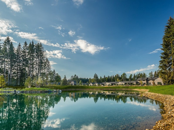 De vakantiehuisjes van Center Parcs Park Allgäu liggen aan een helderblauw meer, omringd door de bossen van het Zwarte Woud.