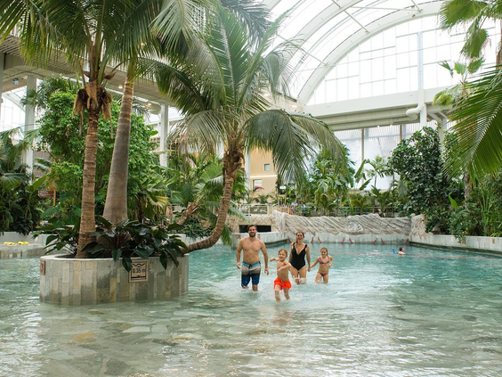 Een familie loopt door het water van het subtropische zwemparadijs Aqua Mundo in Center Parcs Park Allgäu, omringd door echte palmbomen onder een glazen koepel.