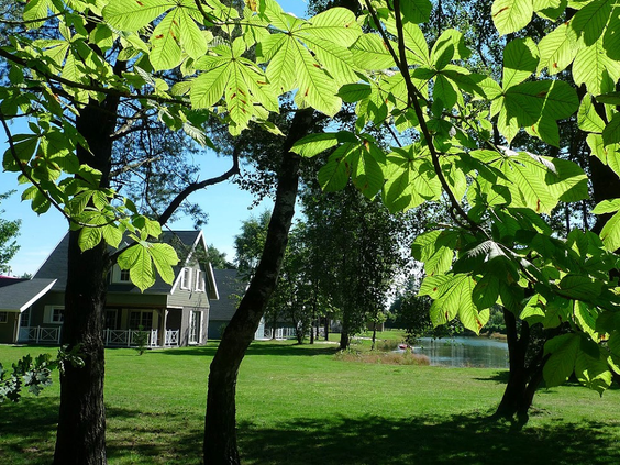 Vakantiepark Molenheide