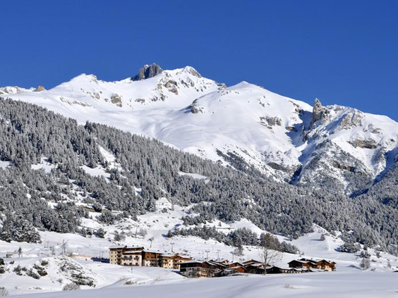 Les Flocons d'Argent