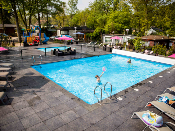 Overzicht van het rechthoekige buitenzwembad op Recreatiepark Beekbergen, omringd door een terras met ligbedden en de Veluwse bossen.