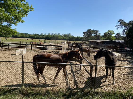 Recreatiepark De Boshoek
