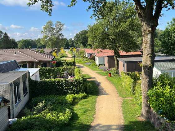 Een overzicht van de groene, ruim opgezette lanen met diverse vakantiehuisjes en chalets op Recreatiepark de Boshoek.