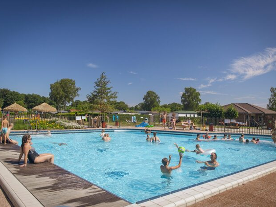 Gasten zwemmen en spelen in het grote, zonnige buitenzwembad van Recreatiepark de Boshoek op de Veluwe.