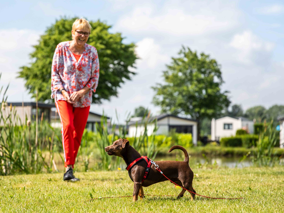 Een vrouw speelt met haar aangelijnde bruine hond op een grasveld aan het water op het huisdiervriendelijke Recreatiepark Het Esmeer.