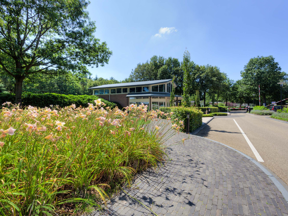 De groene entree van vakantiepark Recreatiepark 't Gelloo in de bossen bij Ede.