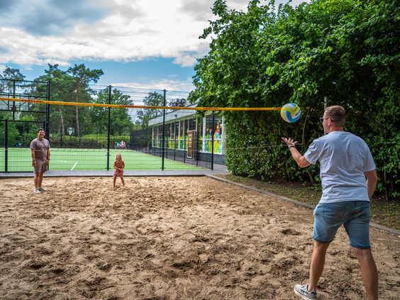 Gasten spelen een potje volleybal op het sportveld van Recreatiepark 't Gelloo.