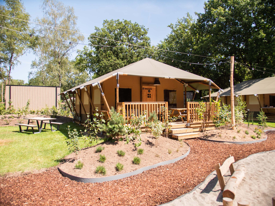Luxe safaritent op een houten platform in de bosrijke omgeving van Recreatiepark 't Gelloo.