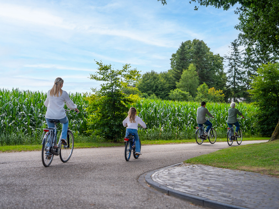 Gezin fietst over Recreatiepark 't Gelloo voor een tochtje door de natuur van de Veluwe.