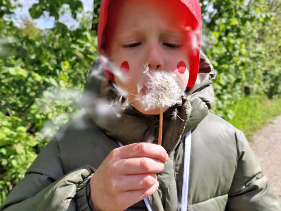 Recreatiepark TerSpegelt
