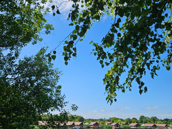 Recreatiepark TerSpegelt