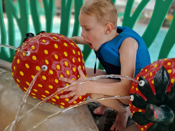 Recreatiepark TerSpegelt