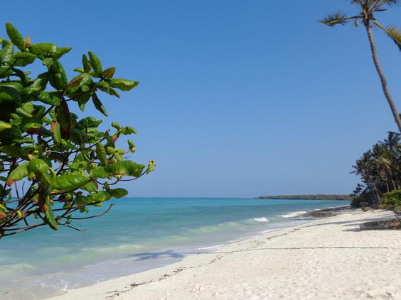 Reef & Beach Resort