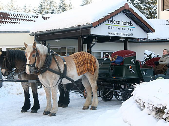Een paard en wagen staat klaar in de sneeuw voor het Relexa hotel voor een romantische tocht door het winterse Braunlage.