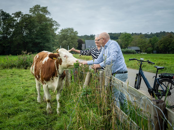 Een man op een fiets stopt om een koe te aaien in het typisch Hollandse polderlandschap rondom Bergen.