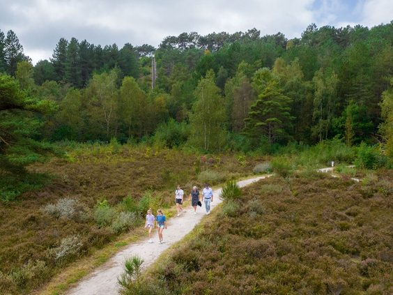 Een gezin wandelt over een zandpad door het prachtige bos- en heidegebied van de Schoorlse Duinen.