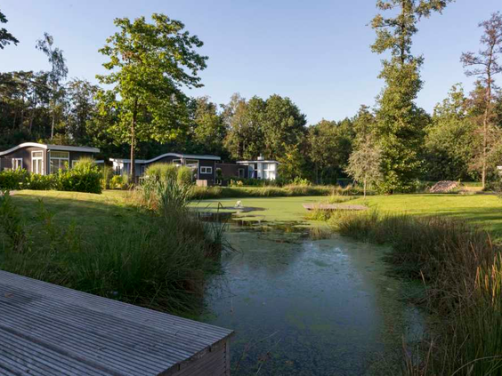 Uitzicht vanaf een houten vlonder op de rustige vijver en de groene, bosrijke omgeving van Resort Brunssummerheide.