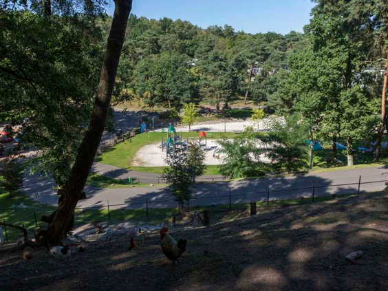 De avontuurlijke speeltuin van Resort Brunssummerheide, gelegen in het groen tussen de bomen, met diverse houten speeltoestellen.
