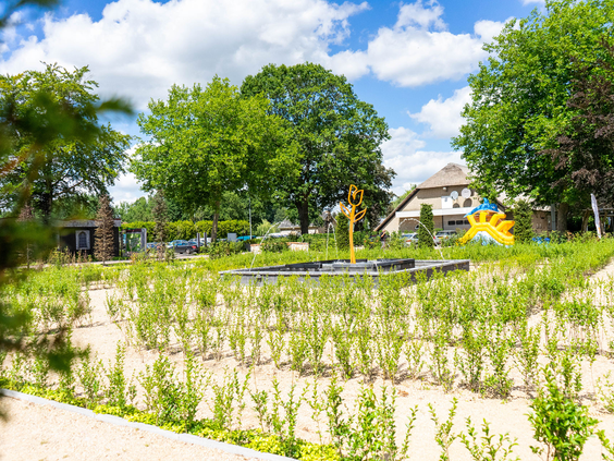 De waterspeelplaats en de speeltuinen van Resort Kaatsheuvel op een zonnige dag, omgeven door bomen.