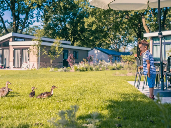 Een jongen kijkt vanaf het terras van zijn vakantiehuisje naar eendjes die in de tuin van Resort Kaatsheuvel lopen.