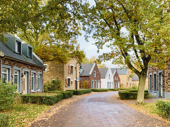 Een sfeervol straatje op Dormio Resort Maastricht in de herfst, met diverse luxe vakantiewoningen omgeven door bomen.