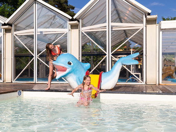 Kinderglijbaan in de vorm van een dolfijn in het ondiepe buitenbad