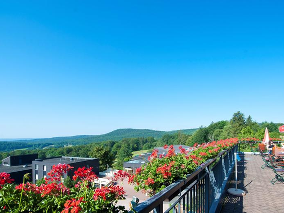 Prachtig uitzicht vanaf een balkon met rode bloemen over het heuvellandschap van de Rhön in Beieren bij Rhön Park Aktiv Resort.
