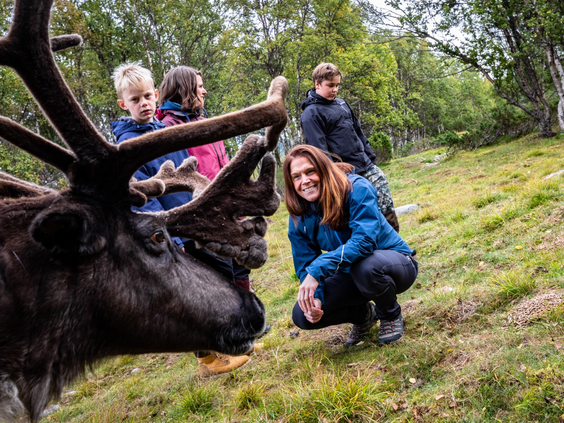 Buro Scanbrit rondreis Zweden