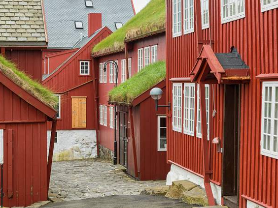 50 tinten groen