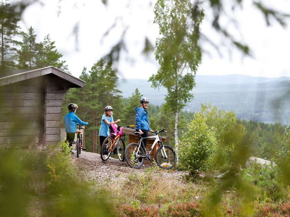 17-daagse rondreis 'Pernilla' - Zweden
