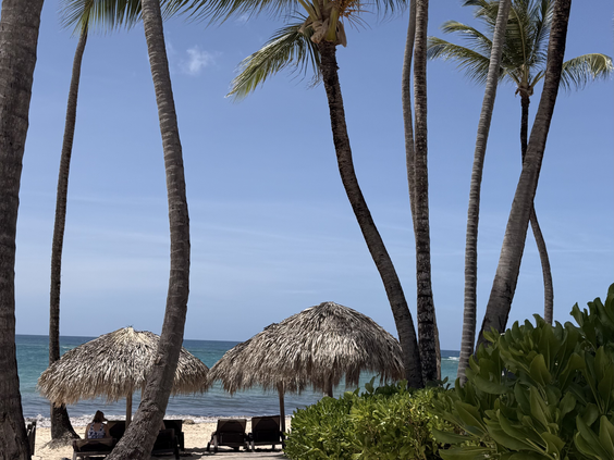 Ultiem waterpark hotel van Punta Cana: SPLASHWORLD Royalton Splash