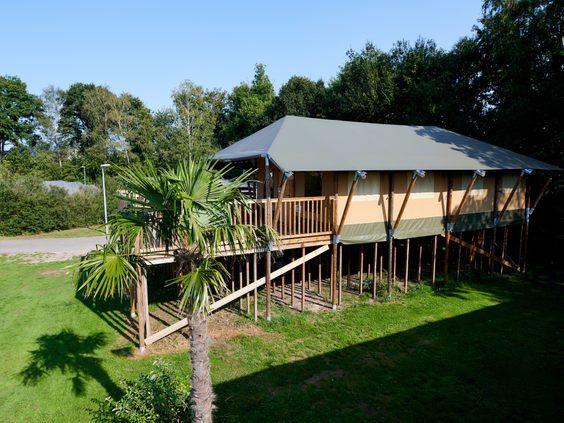 Een luxe safarilodge op hoge palen, gezien van bovenaf, omringd door een groen gazon en bomen op Vakantiepark Sallandshoeve.