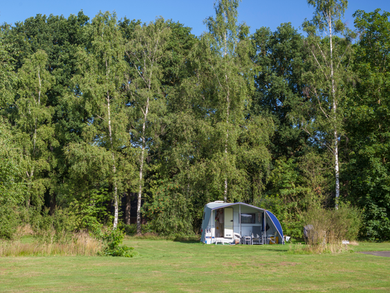 Een rustige kampeerplaats met een caravan, gelegen op een groot grasveld direct aan de rand van het bos op Sallandshoeve.