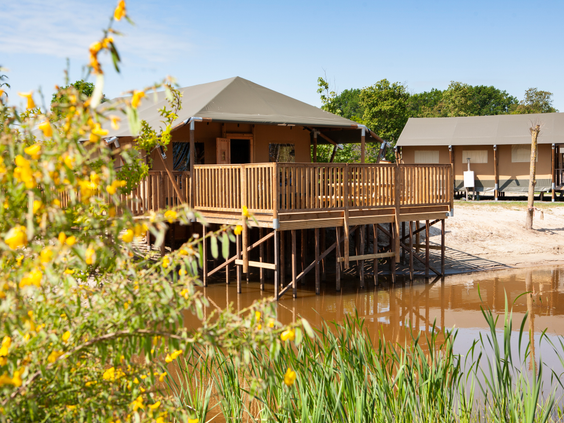 Een luxe houten safarilodge op palen aan de speelvijver, gezien door een waas van gele bloemen op Vakantiepark Sallandshoeve.