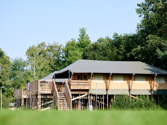 Een indrukwekkende en luxe safarilodge gebouwd op hoge palen, omgeven door groen op vakantiepark Sallandshoeve.