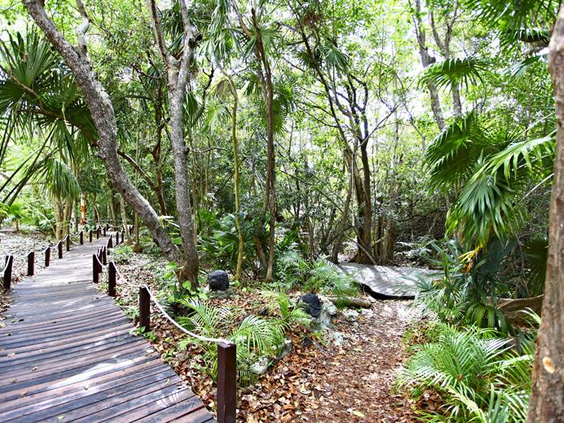 Sandos Caracol Eco Resort & Spa