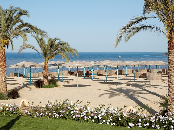 Het privé zandstrand van Three Corners Sunny Beach Resort aan de Rode Zee, met rieten parasols en ligbedjes.