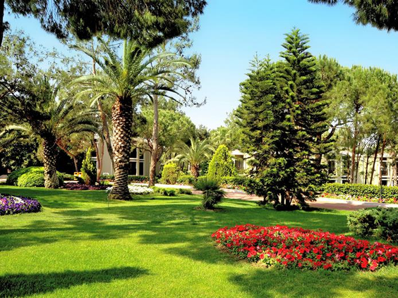 TUI MAGIC LIFE Belek