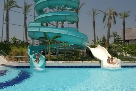Delphin Diva