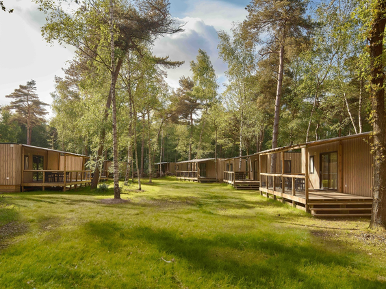 Meerdere vrijstaande houten lodges met veranda's gelegen op een open grasveld te midden van de bossen.