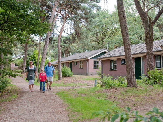 vakantiepark-bospark-de-bikkels (8).jpg