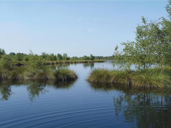 vakantiepark-bospark-de-bikkels.jpg