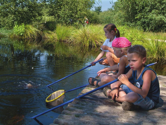 Hoofdafbeelding zomer.jpg
