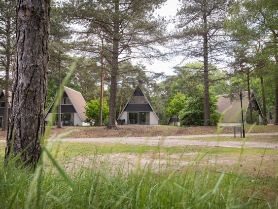 Vrijstaande A-frame vakantiehuizen midden in de bossen van Vakantiepark Bospark 't Wolfsven in Brabant.