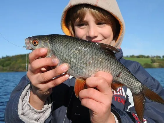 Bryrup Camping